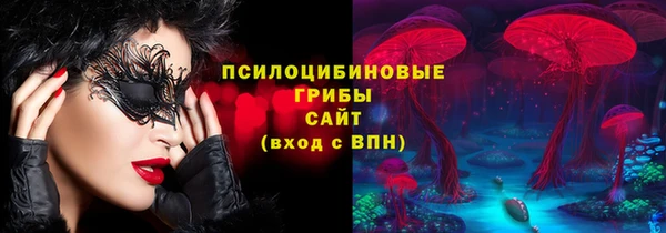 ПСИЛОЦИБИНОВЫЕ ГРИБЫ Майский