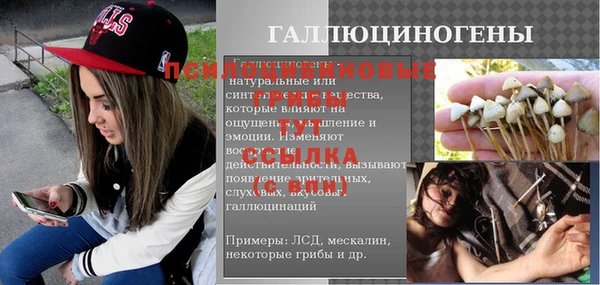 ГАЛЛЮЦИНОГЕННЫЕ ГРИБЫ Магадан